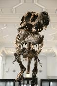 manchester museum 9-2023 8904